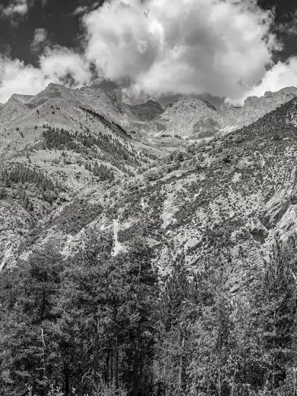 IMG_8199 (1)_ergebnis